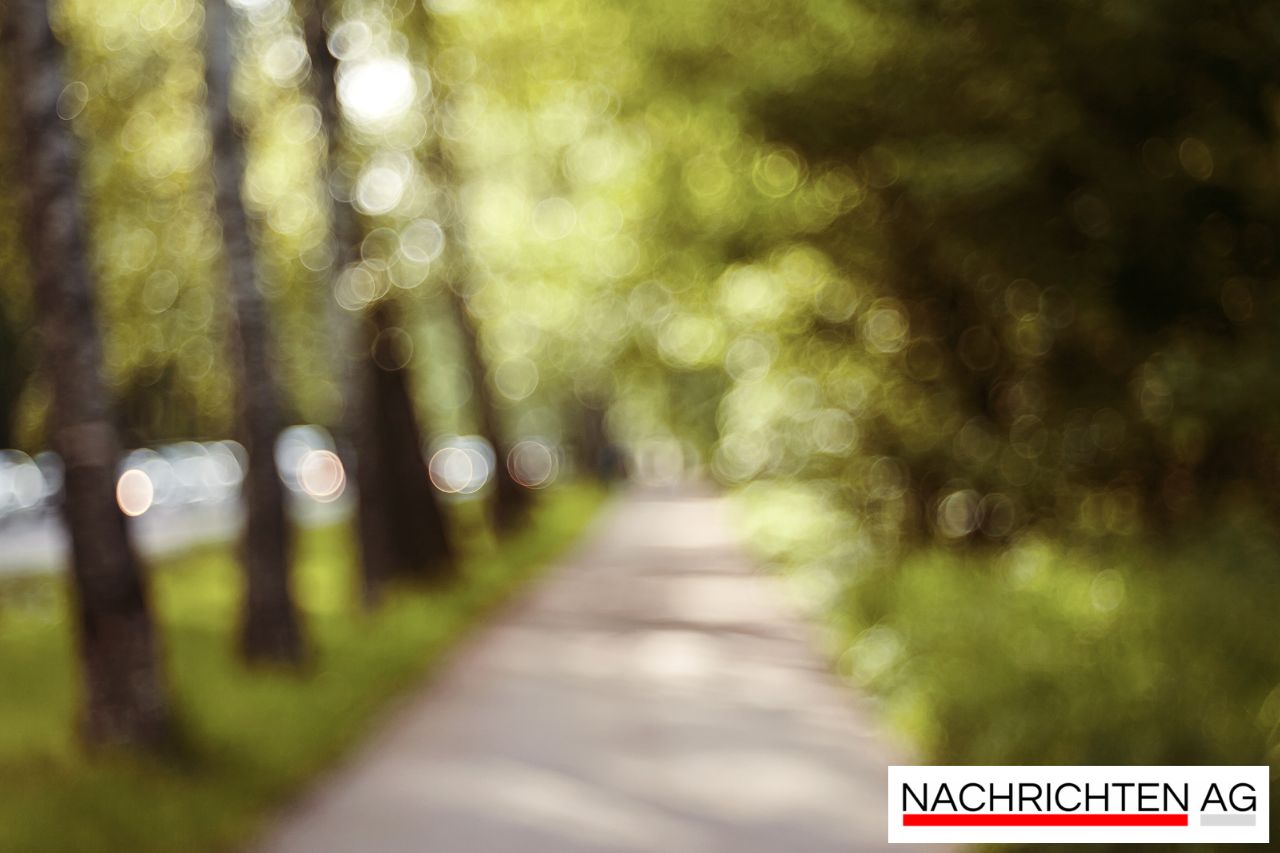 Hoch über Bayern: Helikopter auf Inspektionskurs für sichere Stromleitungen