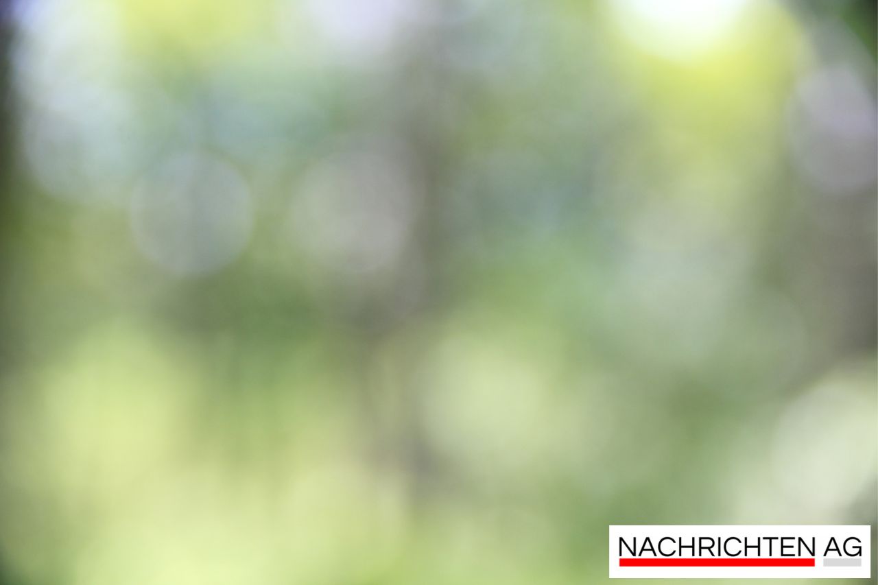 Entdeckungstour durch die historische Altstadt von Hersbruck: Citta Slow erleben